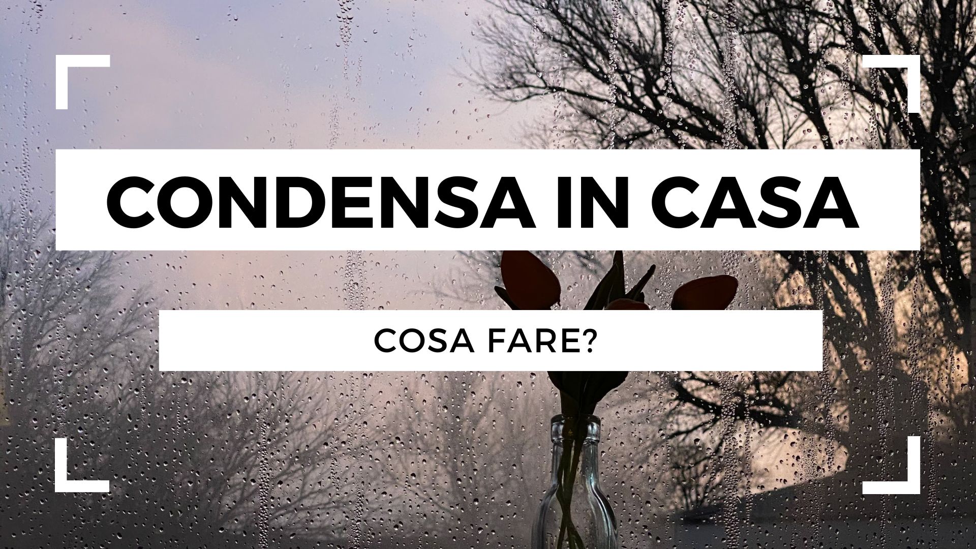 Condensa in casa, cosa fare?