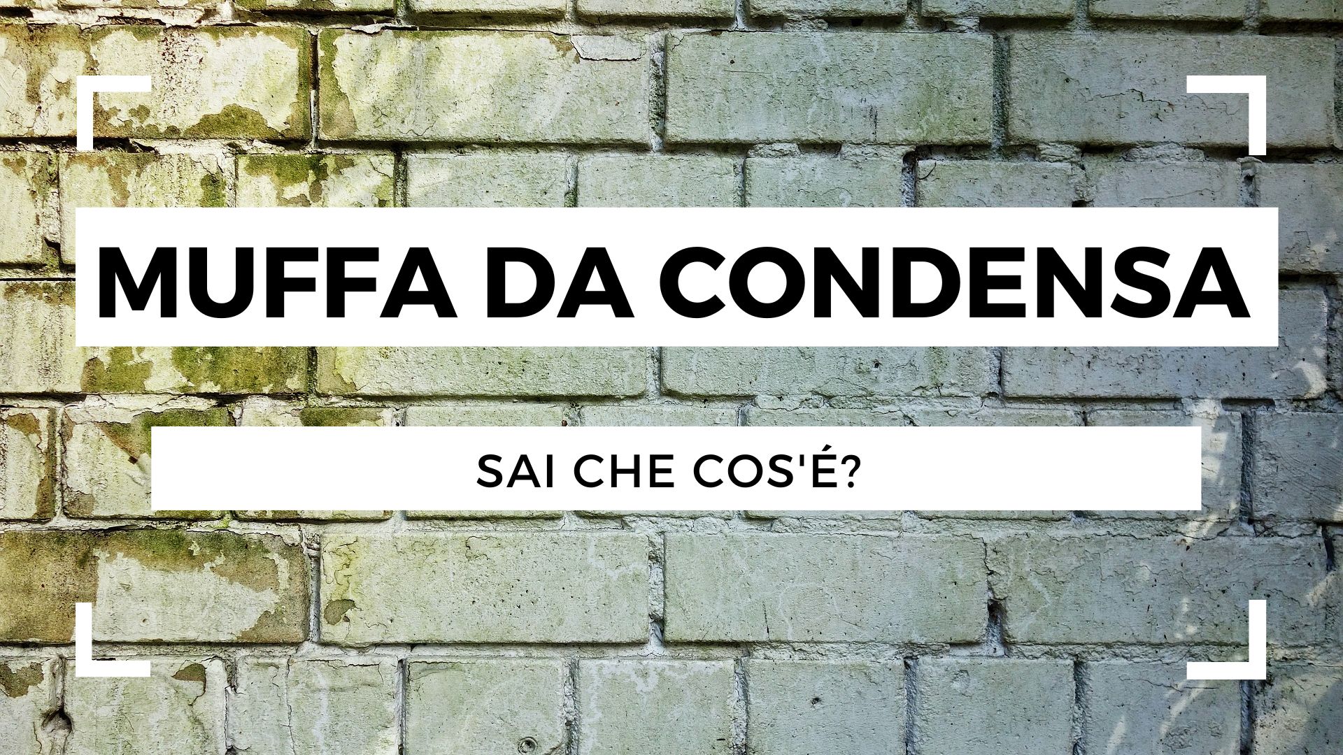 Conosci la muffa da condensa?