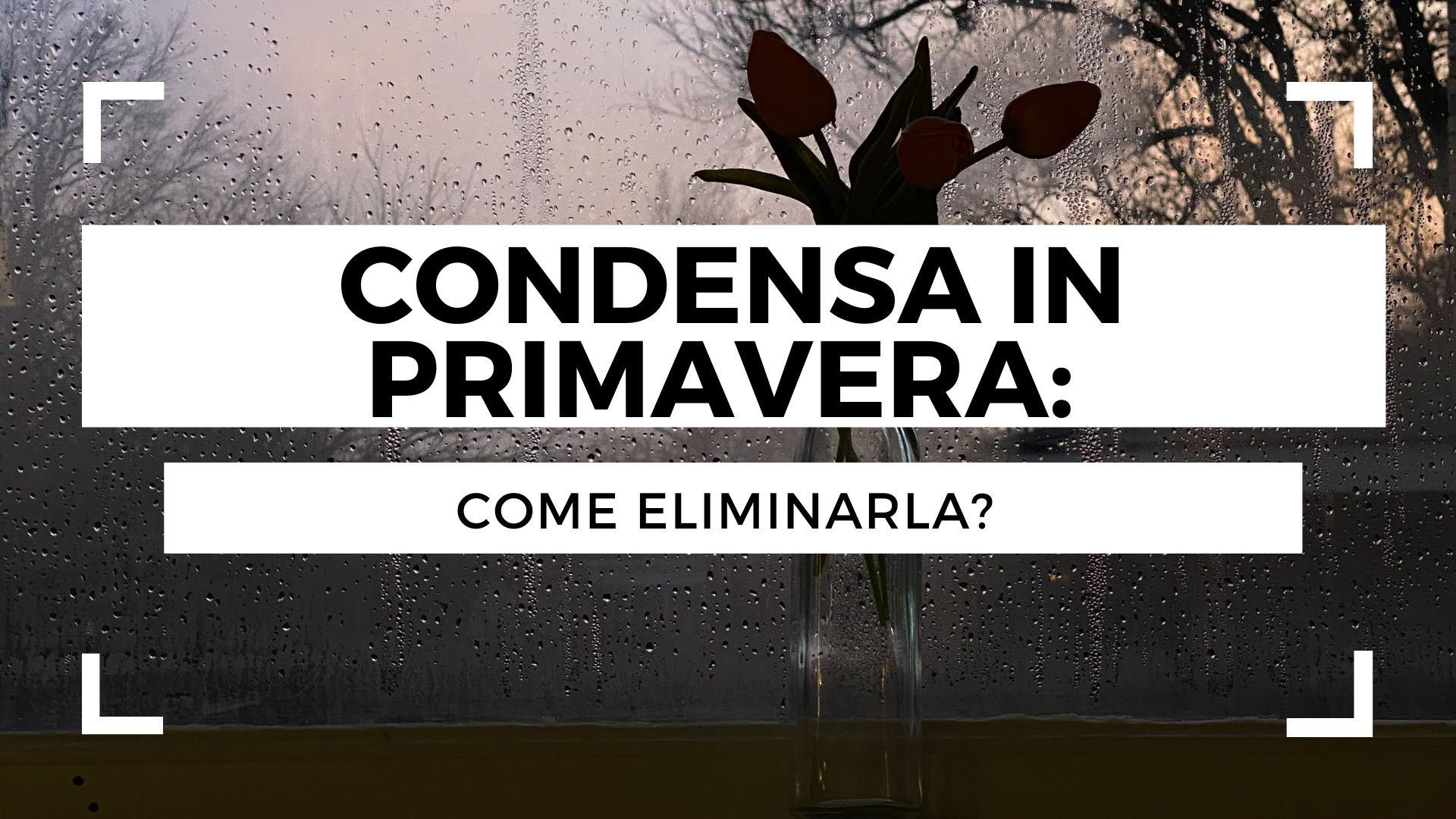 Condensa in primavera: come eliminarla?